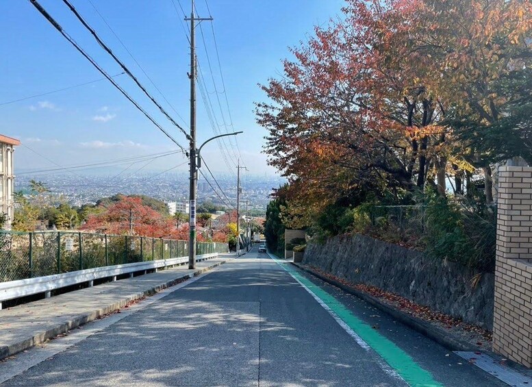 Un puente con un carril bici verde, líneas eléctricas y follaje otoñal. 2