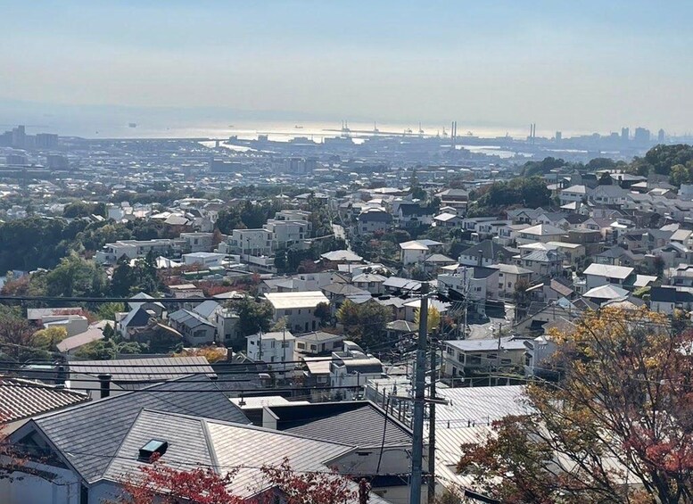 Zona urbana densamente poblada con numerosos edificios y una vista distante de un puente y estructuras industriales. 3