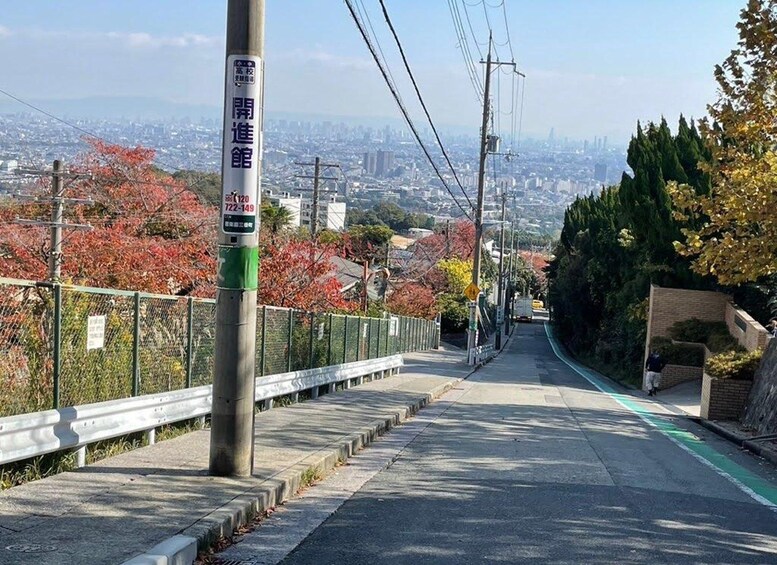 Un paisaje urbano con una pasarela peatonal, una cerca y un poste con un letrero. 1