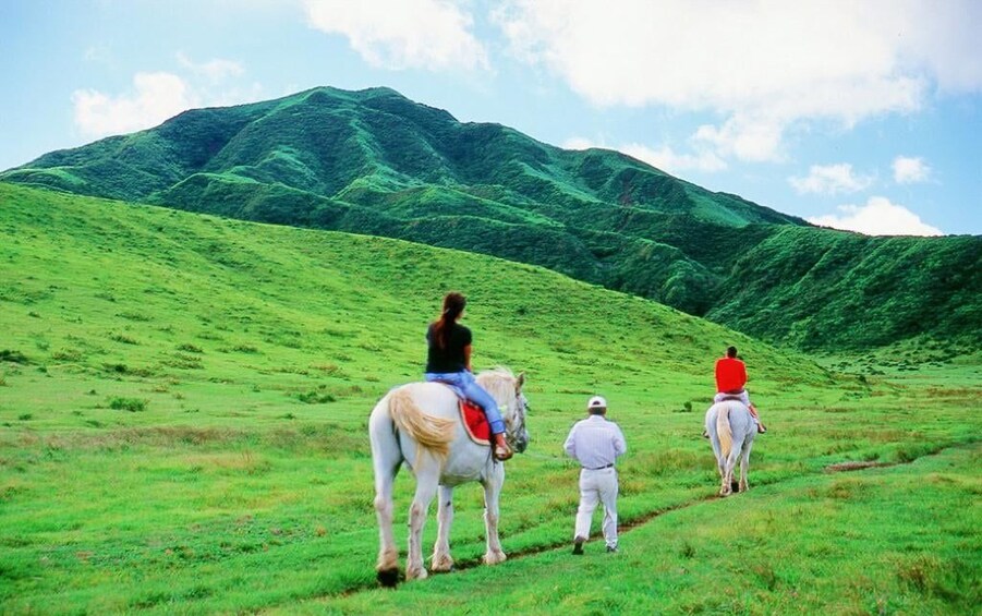 A person riding a horse on a grassy hillside with a mountain in the background. 4