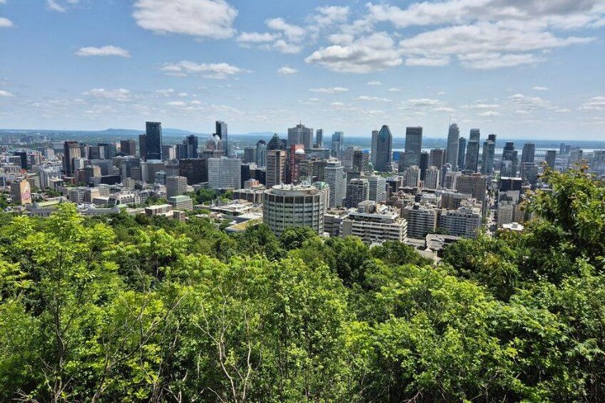 A city skyline with modern skyscrapers and dense greenery in the foreground. 2