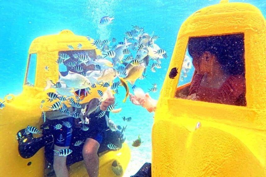 Underwater Diving Scooter Experience in Japan 2