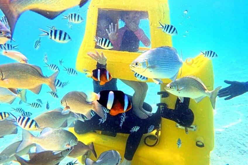 Underwater Diving Scooter Experience in Japan 3