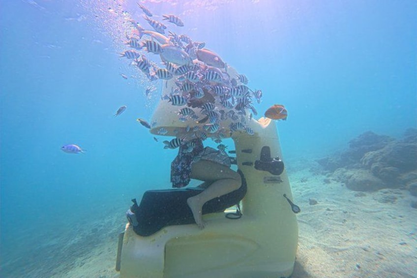 A diver surrounded by a school of fish, with a sandy ocean floor and a rocky outcrop in the background. 2