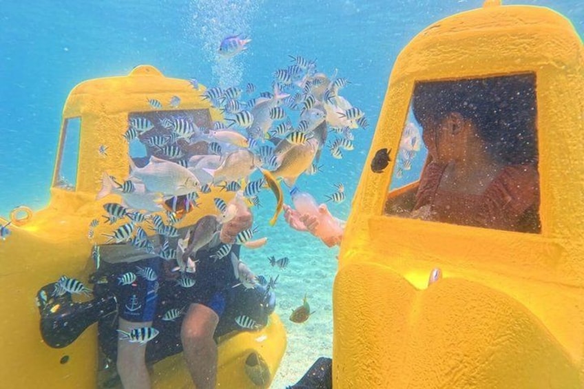 A person in a yellow submarine-like vehicle surrounded by fish. 1