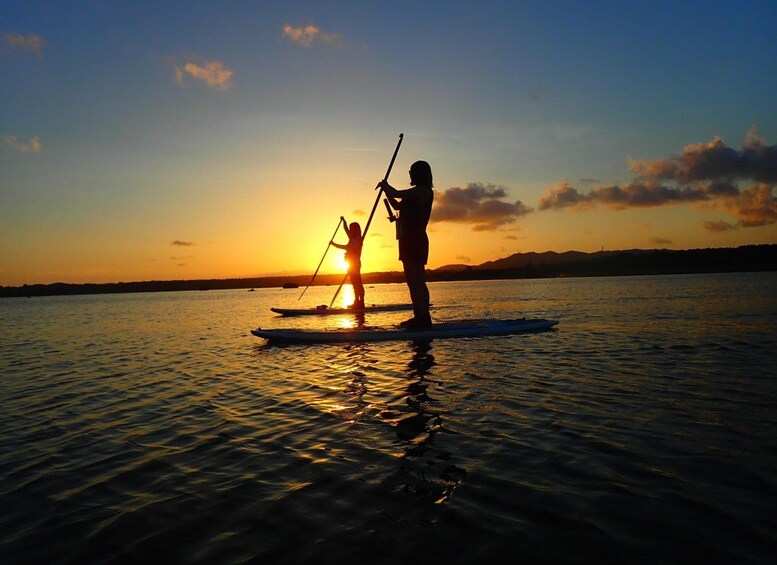 Una persona che fa paddleboarding su acque calme al tramonto. 3