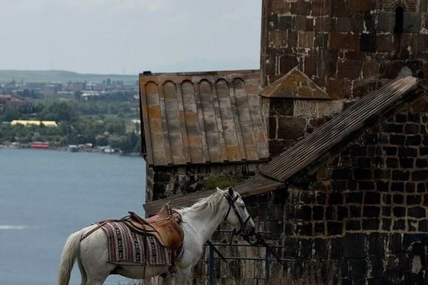 A white horse with a saddle near a stone building with a metal staircase. 3