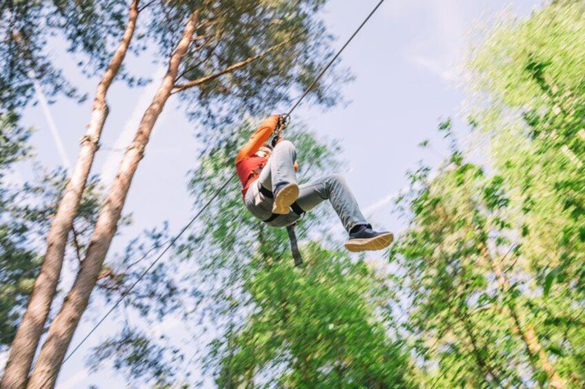 A person zip-lining through a forest. 5