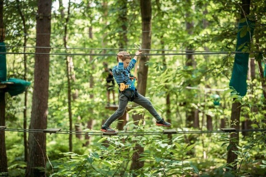 A person walking on a rope bridge in a forest. 2