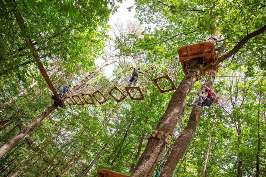 People on a tree-based obstacle course in a forest. 1