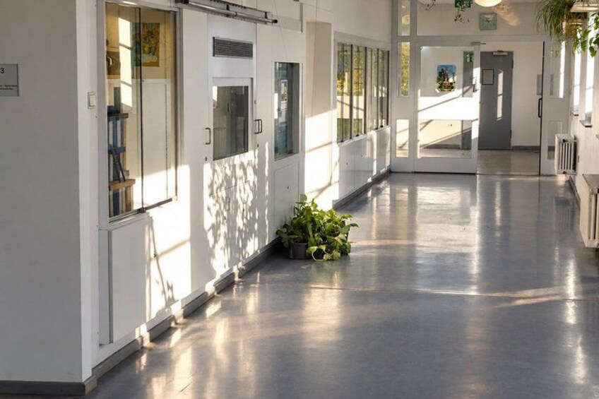 A long, well-lit hallway with white walls, large windows, and potted plants. 5