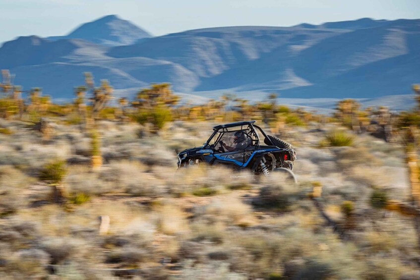 New Las Vegas 1hr 20 Min.| Mini Backcountry Guided Tour 1