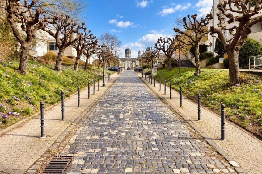 A cobblestone pathway flanked by bare trees and buildings, leading towards a domed structure. 5