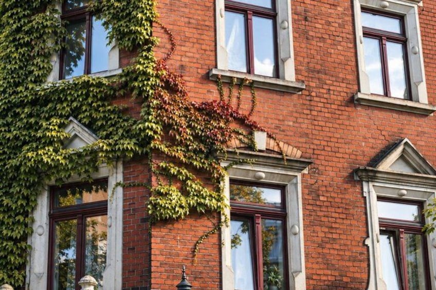 A red brick building with white-framed windows and green ivy. 4