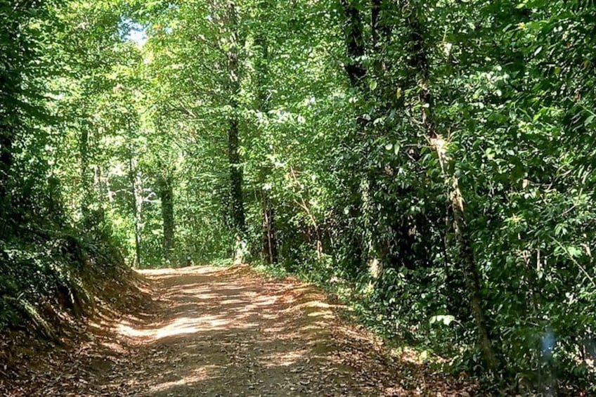 One Way Porto to Lisbon via Schist Villages with Hiking Option 4