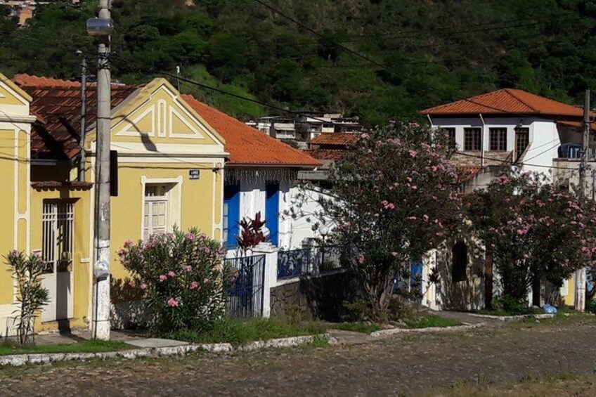 A residential area with houses, a street lamp, and a flowering tree. 2