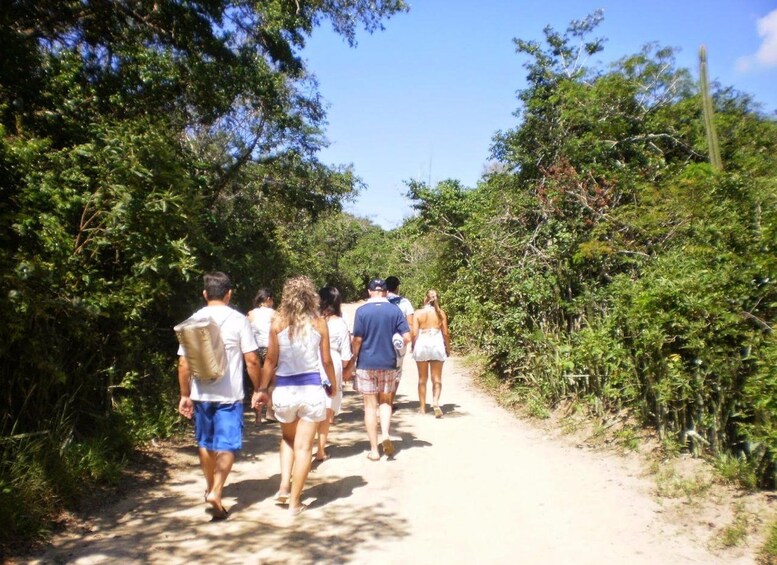 Un grupo de personas caminando por un sendero de tierra rodeado de abundante vegetación. 3