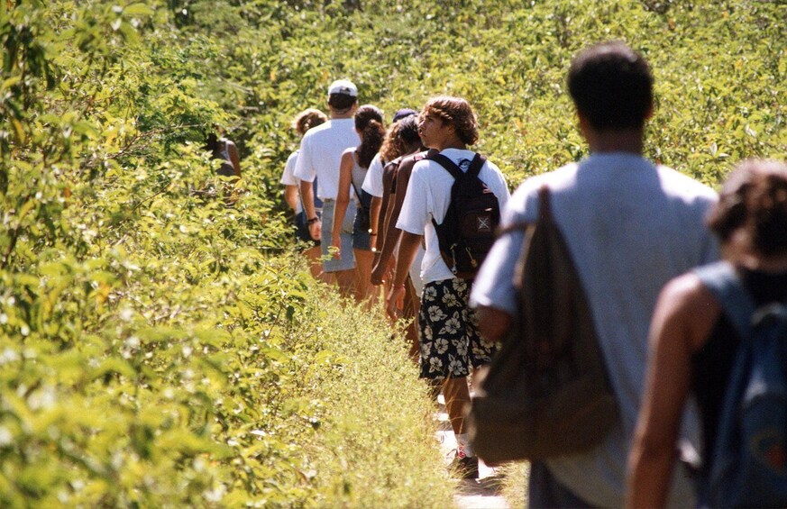 Un grupo de personas caminando por un sendero cubierto de hierba, rodeado de vegetación. 5