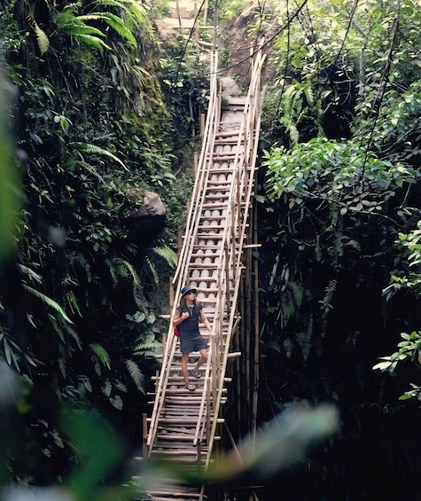 Una persona trepando por una escalera de bambú en un bosque frondoso. 3
