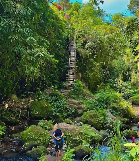 Una persona camina por un sendero cubierto de musgo con una escalera de madera en un bosque exuberante. 2