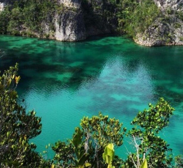 Un mar turquesa rodeado de acantilados rocosos y abundante vegetación verde. 2