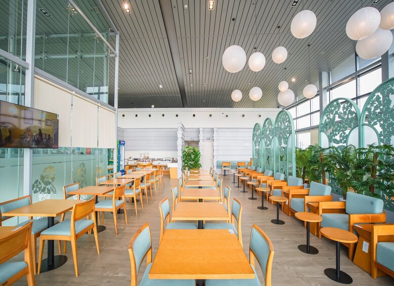 A spacious indoor dining area with wooden tables and blue cushioned chairs, a high ceiling with hanging spherical lights, and large windows on one side. 5