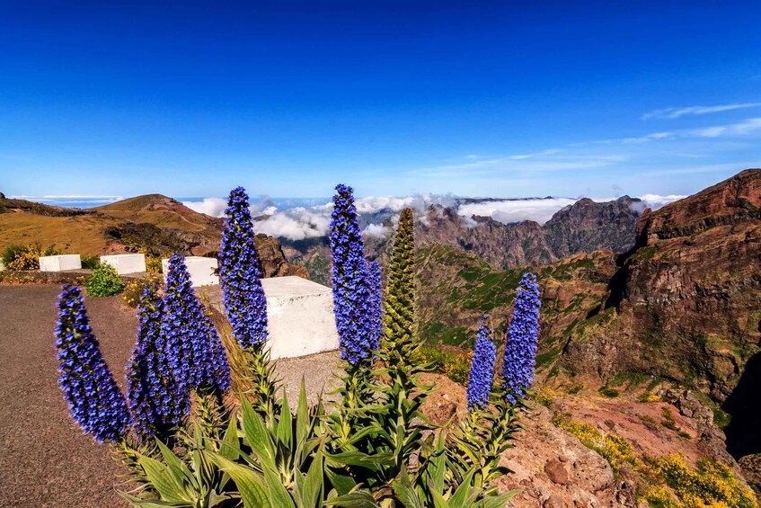 Picture 1 for Activity Madeira: Pico Arieiro to Pico Ruivo Guided Hiking Tour 5