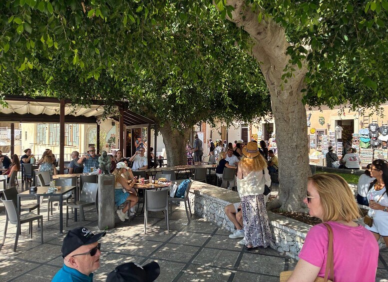 An outdoor café with people dining and socializing under trees. 5