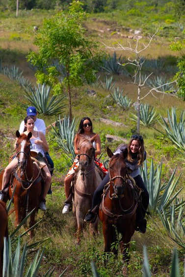 Three people riding horses in a grassy area with agave plants. 2
