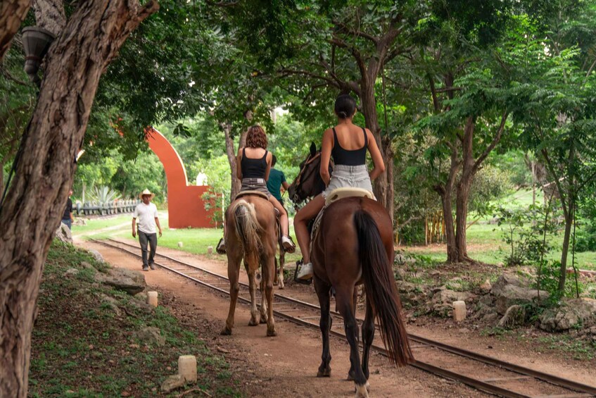 Two people riding horses on a dirt path surrounded by trees. 1
