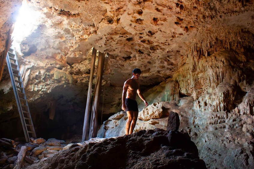 A person standing on a rock inside a cave with stalactites and a ladder. 3