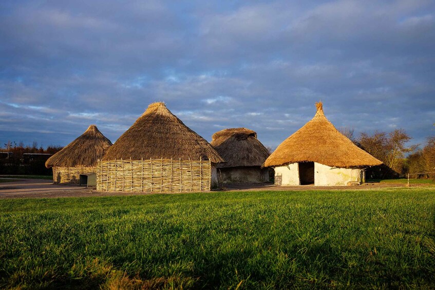 Traditional thatched-roof houses in a grassy field. 5
