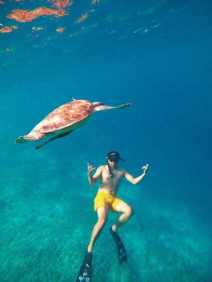 Gili Snorkeling: Turtles & Statues with Photos 1