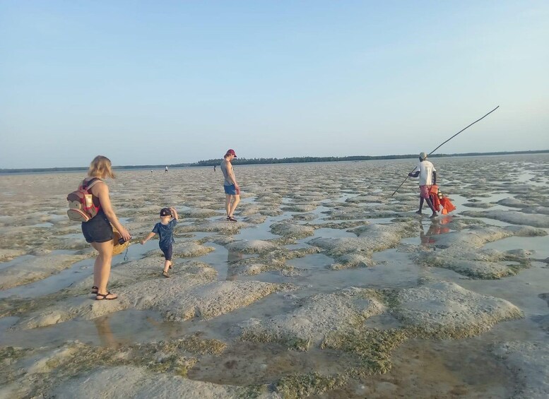 A group of people walking on a rocky beach with a clear sky. 2