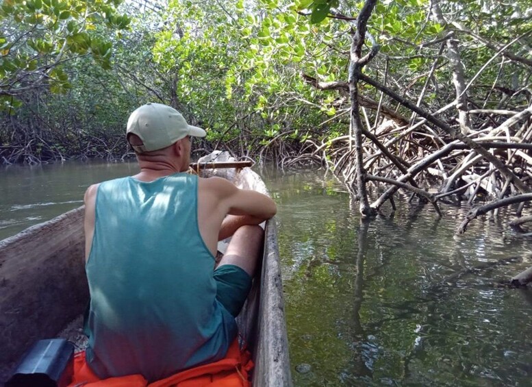 A person in a boat navigating through mangrove waters. 3