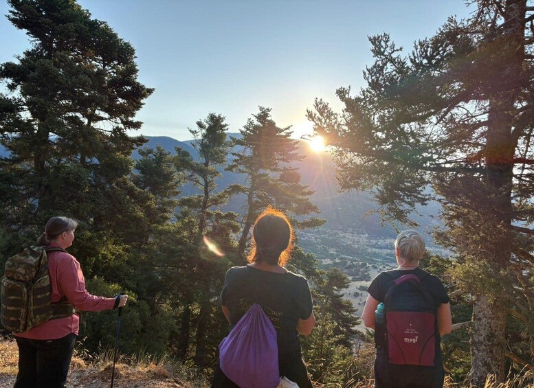 Picture 1 for Activity Delphi: Hiking tour to the Corycian Cave of Parnassus 3