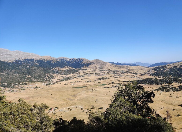 Picture 6 for Activity Delphi: Hiking tour to the Corycian Cave of Parnassus 5