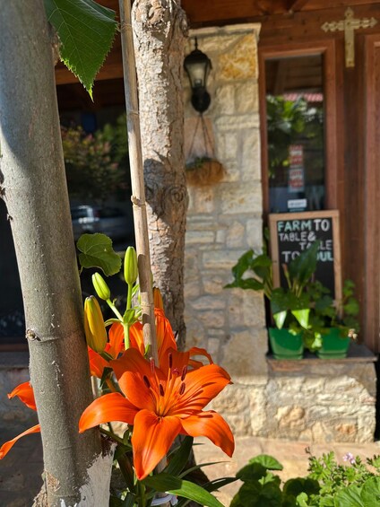 A wooden building with a stone wall, a sign that reads 'FARM TO TABLE,' and a tree with orange flowers. 3