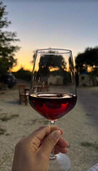A hand holding a wine glass with red liquid, set against a sunset background. 5