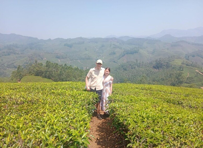 A person walking through a tea plantation with rolling hills in the background. 3