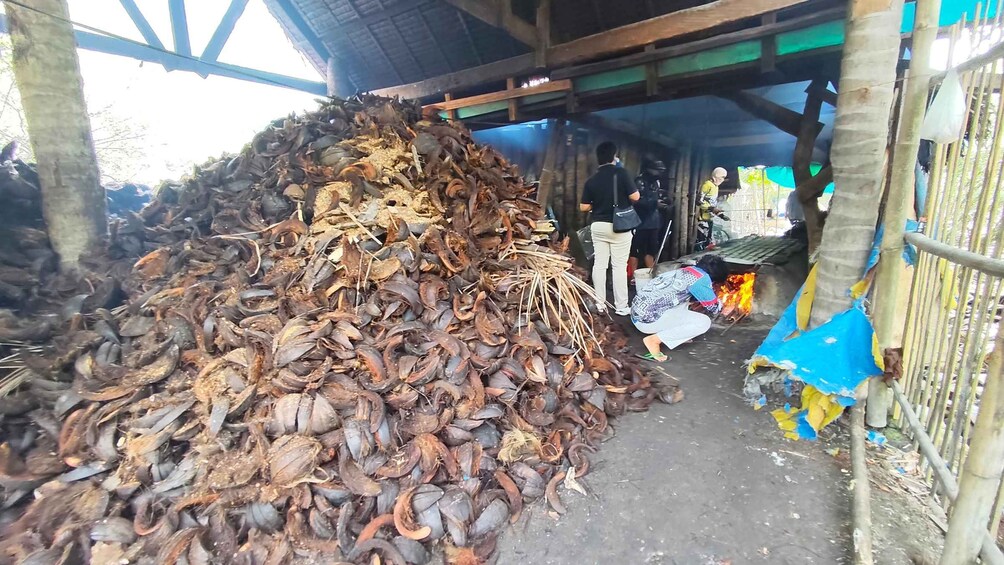 Una gran pila de cangrejos secos bajo un refugio. 4