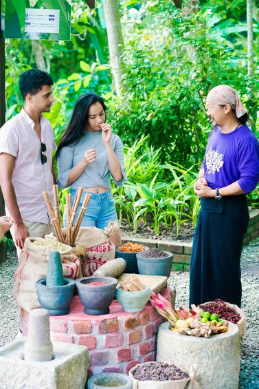 Picture 2 for Activity Penang: Tropical Spice Garden with Guided Tour 3