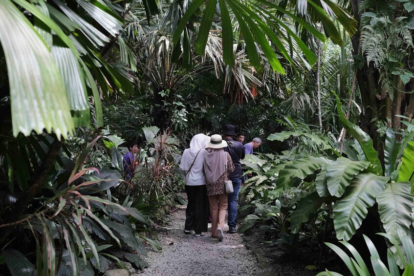 Picture 4 for Activity Penang: Tropical Spice Garden with Guided Tour 4