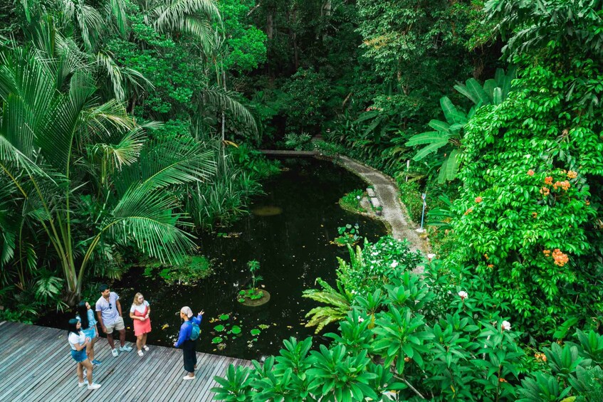 Picture 3 for Activity Penang: Tropical Spice Garden with Guided Tour 2