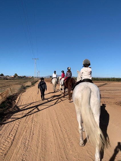 Un groupe de personnes fait une promenade à cheval sur un chemin de terre. 1