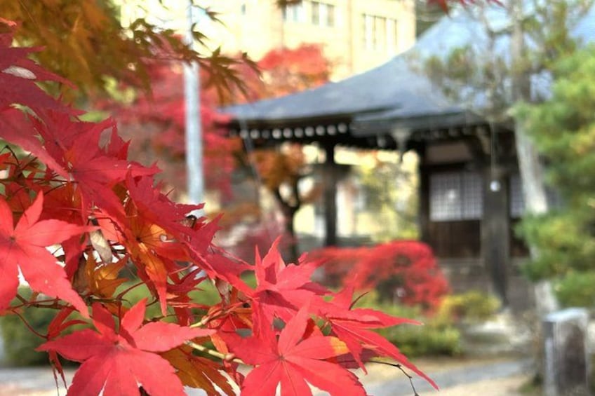 Red maple leaves, a traditional Japanese building, and a stone lantern. 4