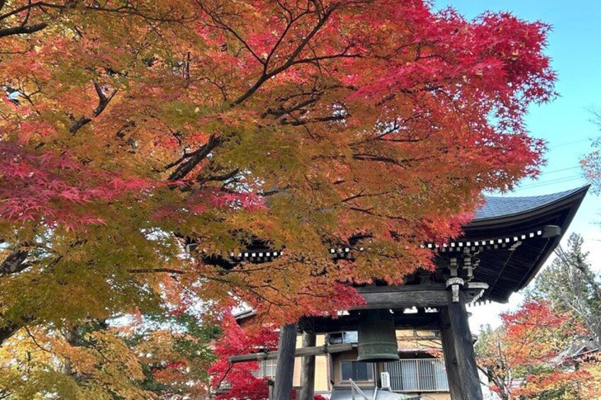 A traditional Japanese pavilion with a curved roof, surrounded by autumn-colored trees. 3