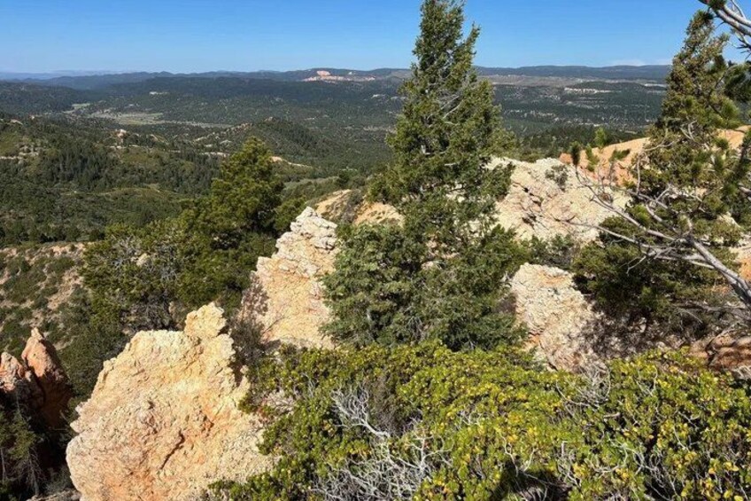 A mountainous landscape with rocky outcrops, dense green forests, and a clear sky. 4