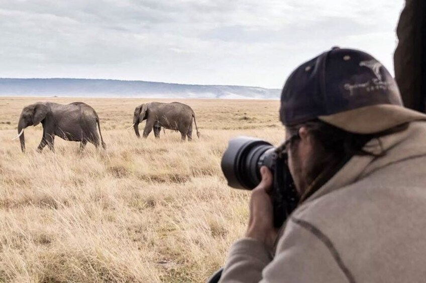 A person with a camera in a field with two elephants. 1