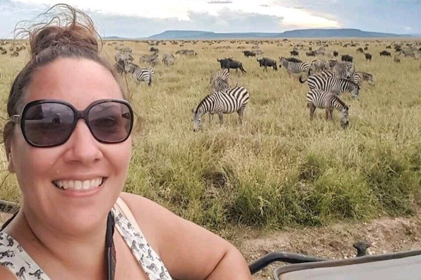 A person in a vehicle with zebras and wildebeests in the background. 2